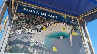 2024-02-Paseo Arguineguin - Anfi-74.jpg